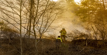 Ȱ���̹���